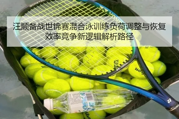 wang-shun-bei-zhan-shi-jin-sai-hun-he-yong-xun-lian-fu-he-tiao-zheng-yu-hui-fu-xiao-lv-jing-zheng-xin-luo-ji-jie-xi-lu-2-843.jpg