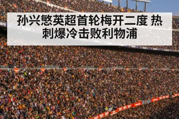 football stadium crowd