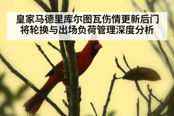 皇家马德里库尔图瓦伤情更新后门将轮换与出场负荷管理深度分析
